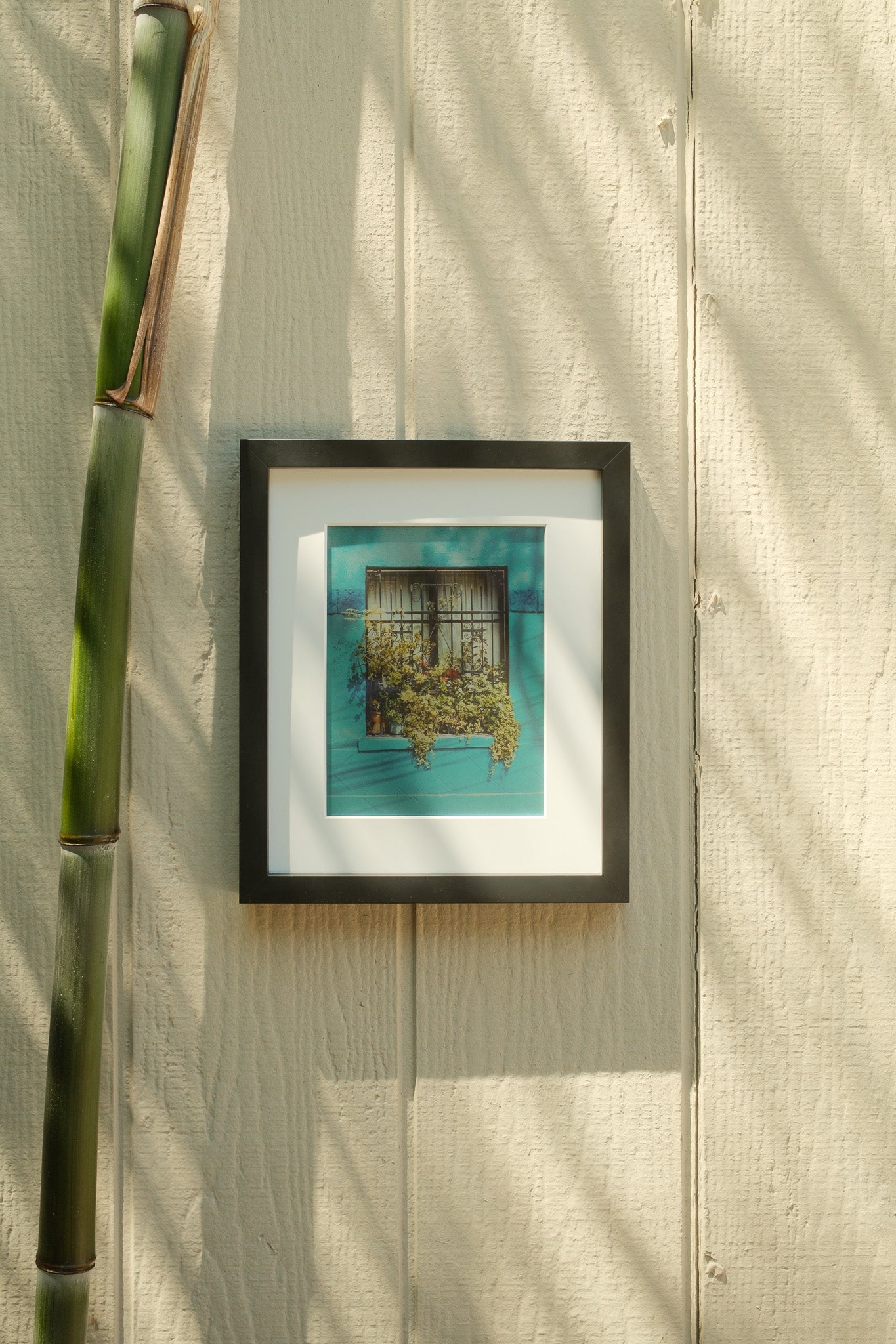 Framed artwork on a textured wall with a bamboo stalk to the left. #black