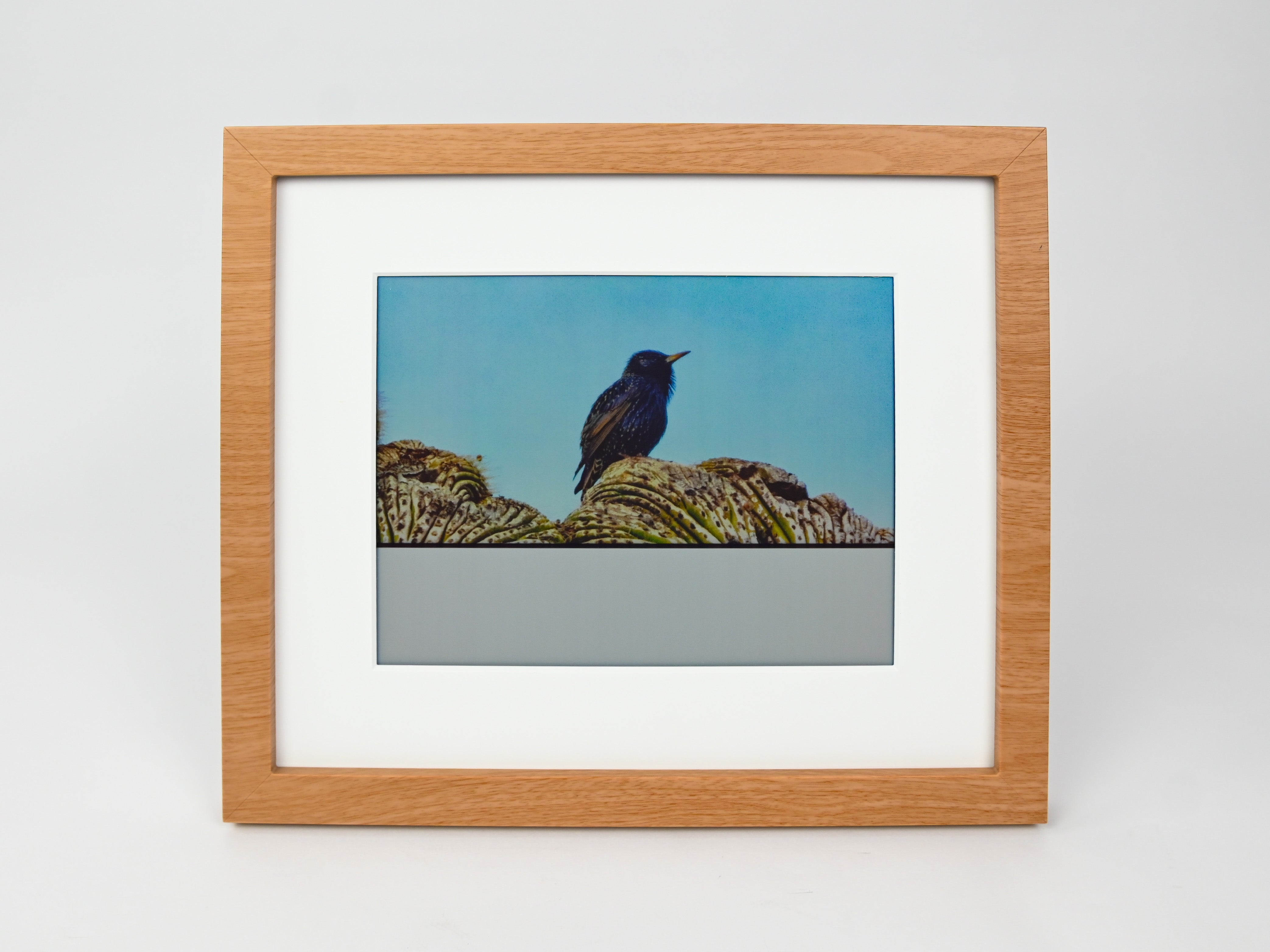 Framed artwork of a bird on a branch with a blue sky background #wood