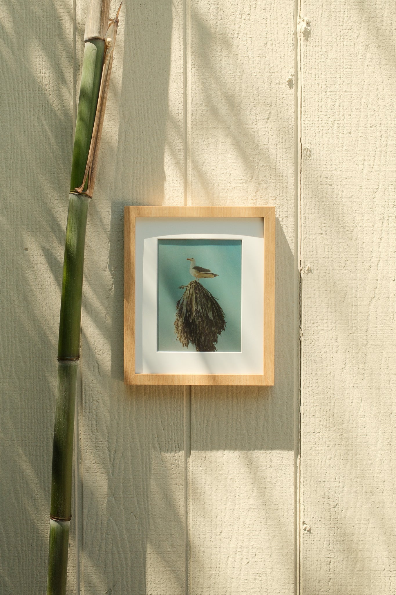 Framed artwork of a bird on a light wooden surface with a plant in the corner #wood