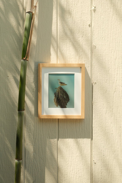 Framed artwork of a bird on a light wooden surface with a plant in the corner #wood