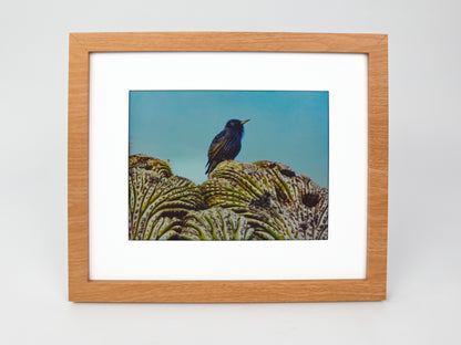 Framed artwork of a bird on a cactus with a wooden frame. #wood